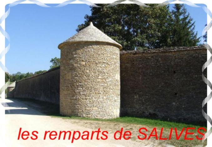 Le Puits Fortifie Salives Luaran gambar